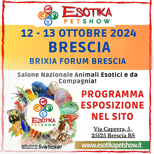 Esotika Brescia ottobre 2024